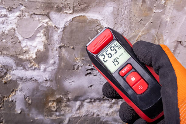 Best Toxic Mold Removal  in Nicholson, MS