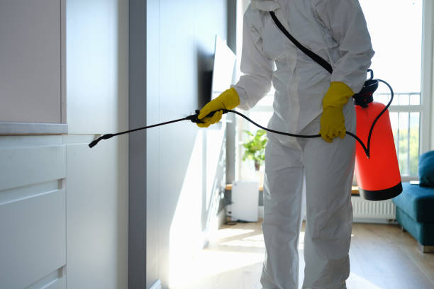 Office Mold Removal Services in Nicholson, MS